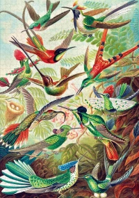 4. Good Loot Imagination: Ernst Haeckel Hummingbirds Kolibry (1000 elementów)